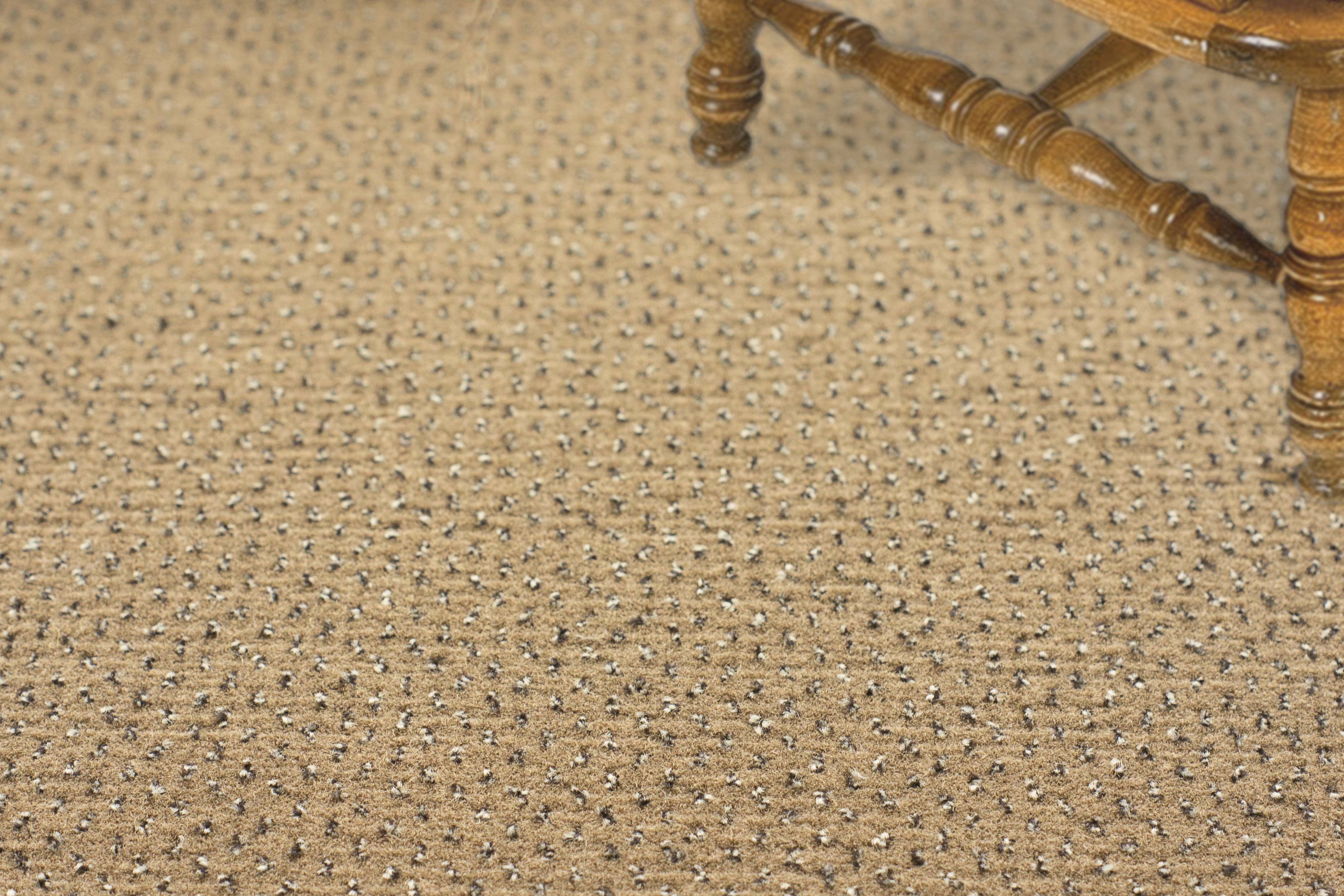 Ковролин "Зартекс" Eternity 142 бежевый (4м) — купить в Екатеринбурге